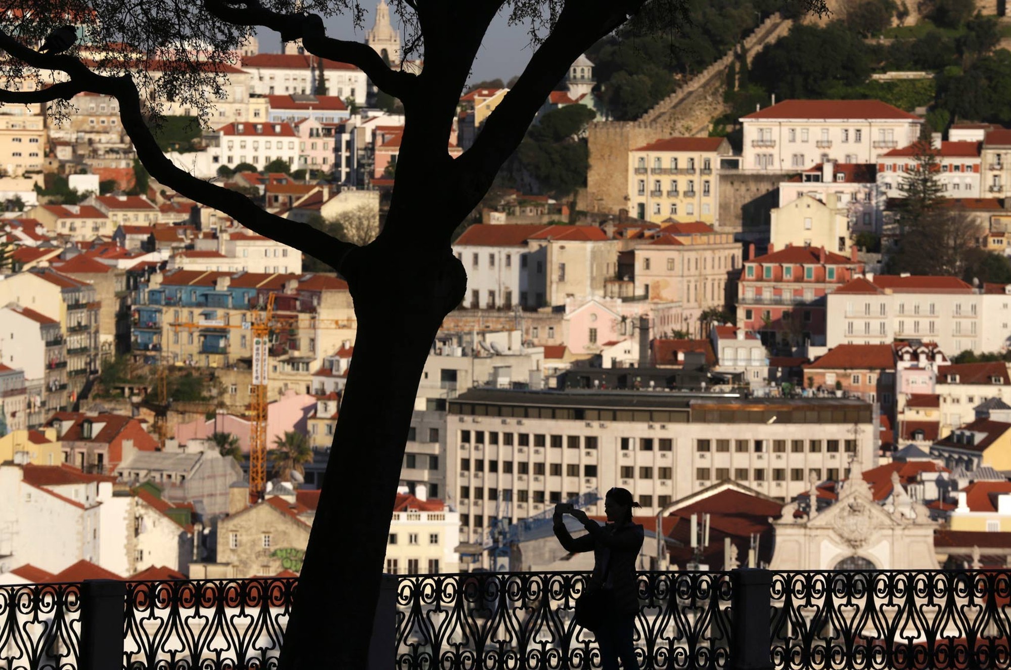 Portugal aprova Lei da Nacionalidade que afeta brasileiros; veja o que muda